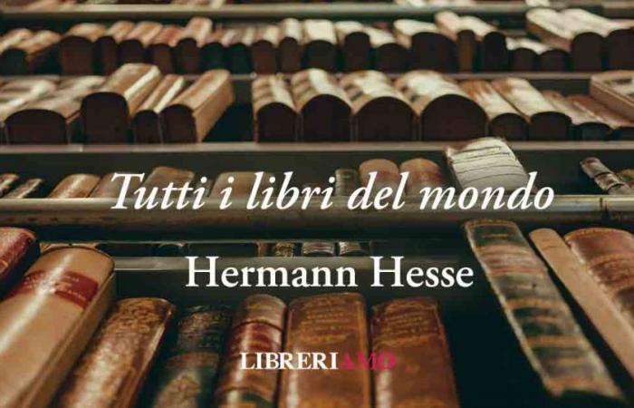 „Alle Bücher der Welt“ von Hesse, das Gedicht, das das Lesen zelebriert