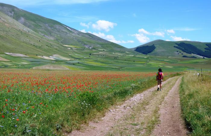Lo Scarpone – Langsam entlang des Sentiero Italia spazieren, um in die Blüte von Castelluccio einzutauchen