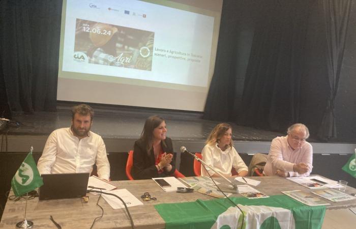 Arbeit in der Landwirtschaft, Berni (Cia Toscana): „Mangel an Arbeitskräften, Erntekampagnen gefährdet“