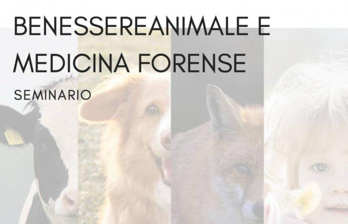 Velletri – Ein Seminar über Tierschutz auf Bauernhöfen und Lebensmittelsicherheit im Justizpalast