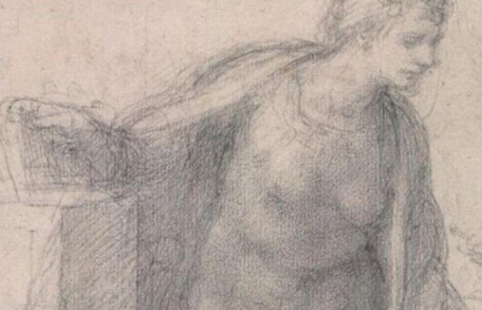Liebe, die die Tauben tränkt von Luigi Bienaimé – Michelangelo Buonarroti ist zurück