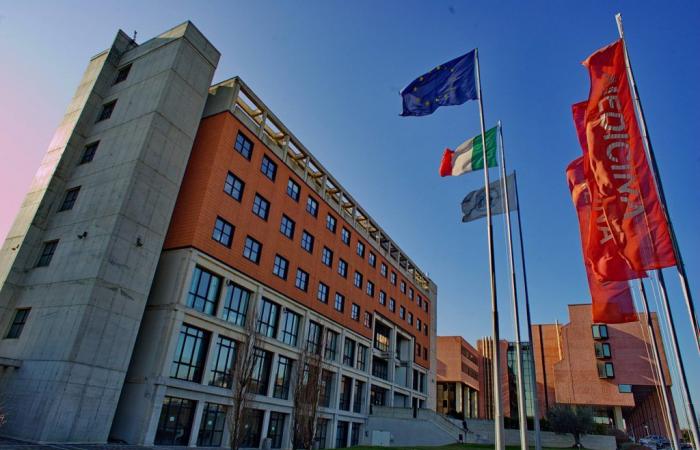 Ancona, Polytechnische Universität Marken: 9 von 10 Studenten finden nach ihrem Abschluss Arbeit – Nachrichten Ancona-Osimo – CentroPagina