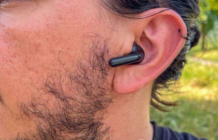 Testbericht zu den Motorola Moto Buds+: Bose-Sound, ohne den Bose-Preis