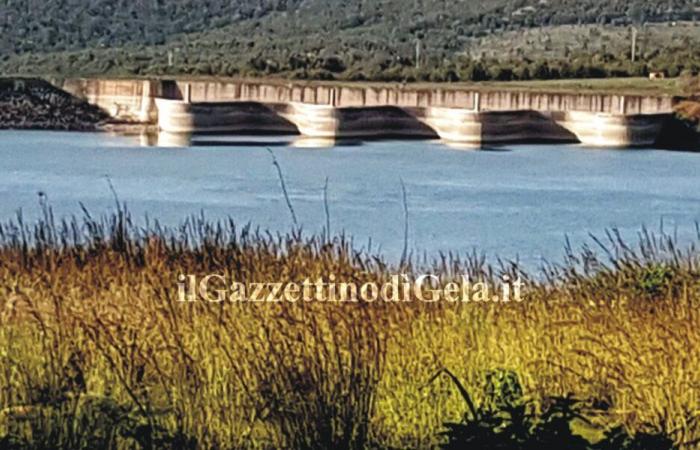 Wasserkrise: Der Präfekt lädt die Bürgermeister ein, Projekte vorzustellen – il Gazzettino di Gela
