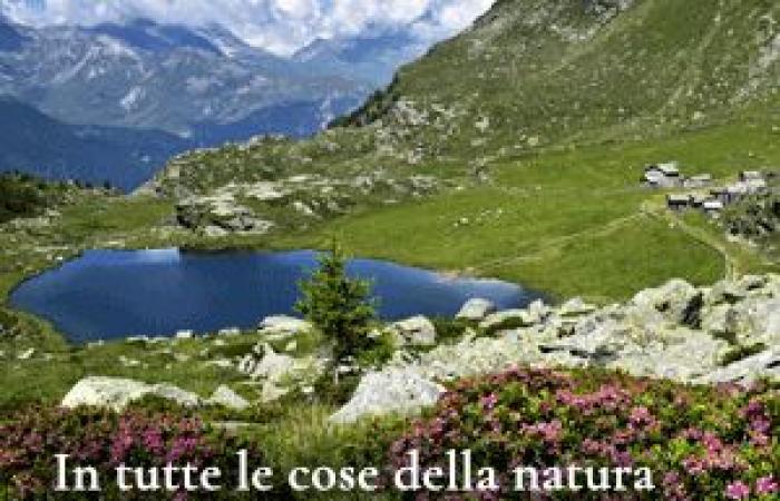 Uoei Leccos Sommer begann mit einer Reise nach Ligurien