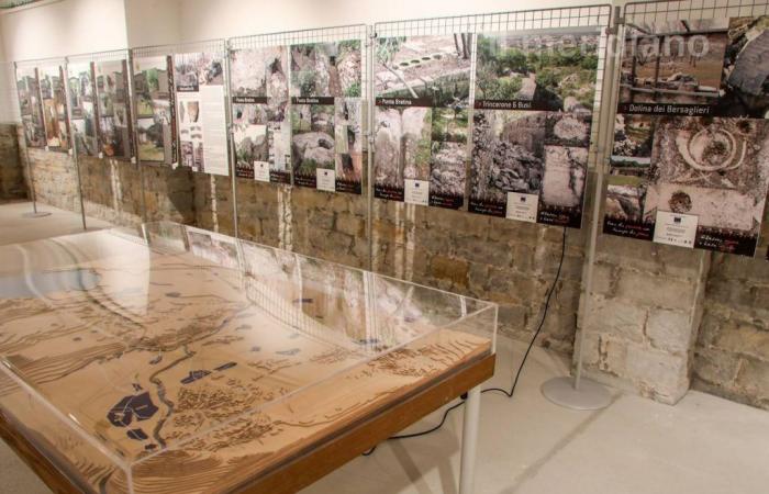Das Programm der Ausstellung „Von Ljubljana bis Triest, der Stein von Aurisina, Karst und Istrien in Italien und auf der ganzen Welt“ ist reichhaltig