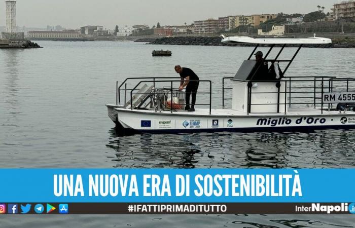Reinwasserbetrieb, die Seekehrmaschine kommt in Portici an