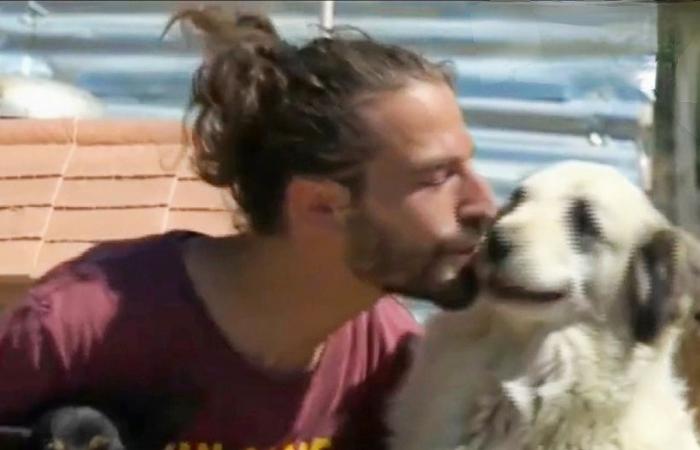 Crotone: Giandomenico, vom ASP mit einer Geldstrafe von 1.500 Euro belegt, weil er streunende Hunde gerettet und betreut hat