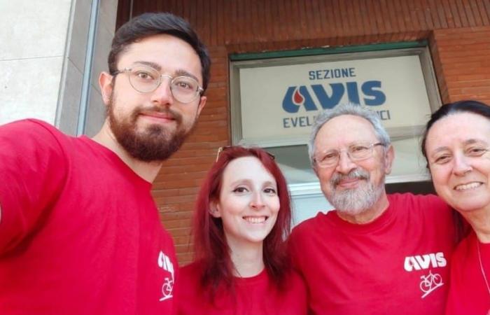Spendertag, der Präsident von Avis: „Erste Marken in Italien für Blut, aber es herrscht Plasmamangel“ – Nachrichten Ancona-Osimo – CentroPagina