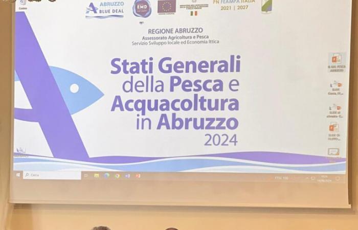 Generalstaaten für Fischerei und Aquakultur in den Abruzzen: 18 Millionen der EMFFA 2021-2027 kommen an