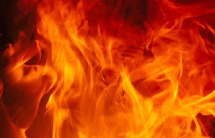 Catanzaro: Von morgen, 15. Juni, bis zum 30. September gilt ein Verbot der Verbrennung von pflanzlichem oder landwirtschaftlichem Material