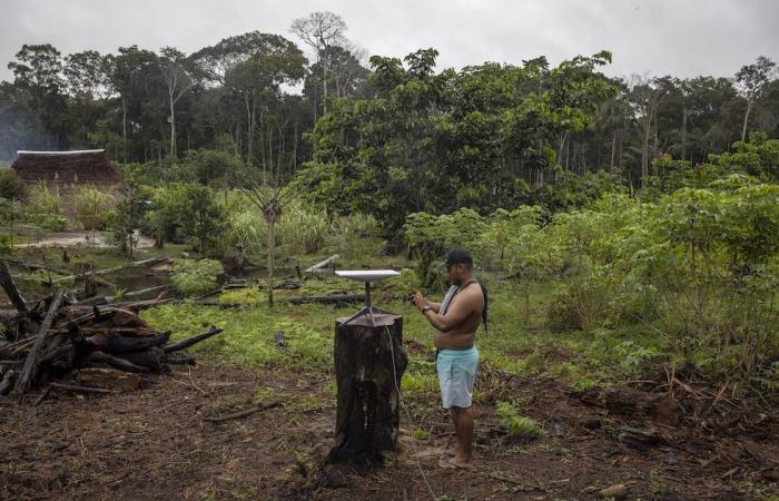 Diese Amazonas-Bevölkerung ist nicht pornosüchtig geworden