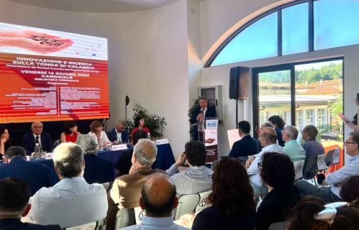 Präsident Mancuso an Cardinale für die „Tonda d Calabria“