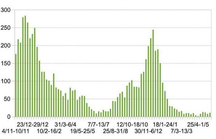 Coronavirus Marche, Daten für den Zeitraum 6.-12. Juni 2024