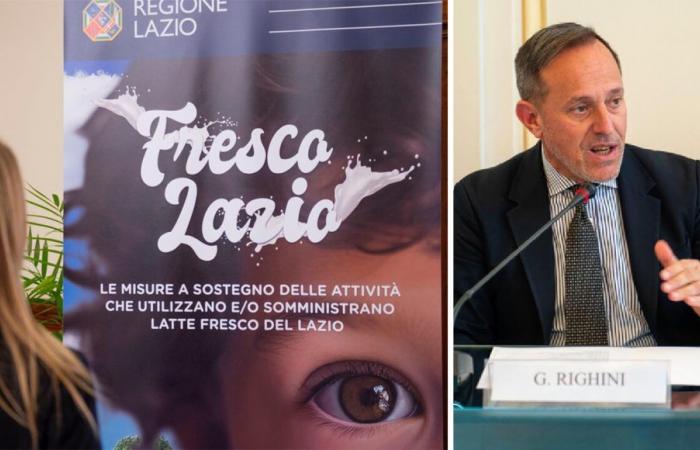 Landwirtschaft: Die Ausschreibung „Fresco Lazio“ wurde veröffentlicht, um die Verwendung regionaler Milch zu fördern – Tu News 24
