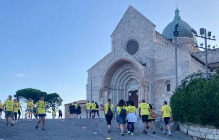 Ancona kehrt nach Alba zurück, wie man sich registriert und wie sich der Verkehr ändert
