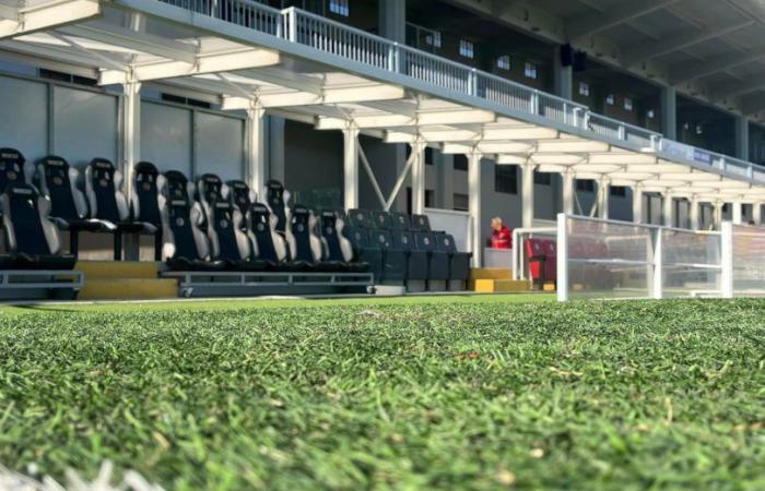 Franchi- und Bertoni-Stadion, die Gemeinde wird die Bauten dem Siena Fc anvertrauen