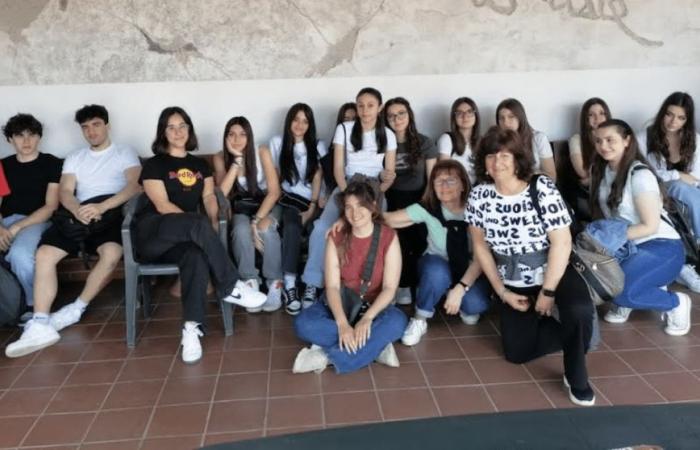 Analyse des riskanten Verhaltens von Foggia-Studenten. „Pathologische Süchte und Jugendliche“, hier sind die Ergebnisse