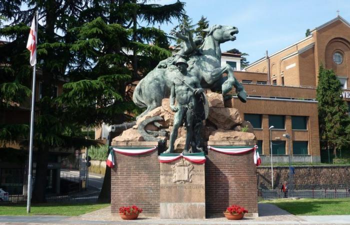 Varese und Verfall, Zypressen kommen auf der Piazza Repubblica an: Werden sie ausreichen?