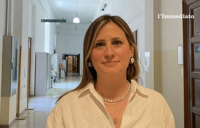 Europa-Helpdesk in Foggia abgelehnt, Soragneses Verachtung: „Die Gemeinde ist nicht im Netzwerk registriert“