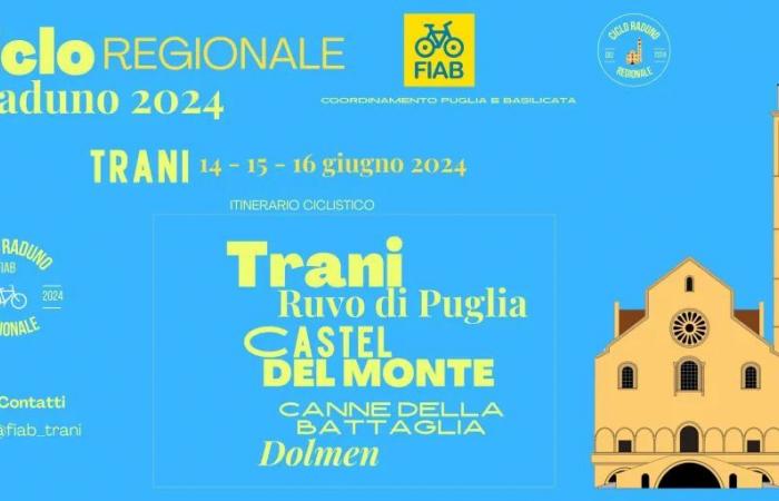 Fiab-Treffen in Trani: „Aufwertung des Adria-Radwegs während der Fahrradtourismustage“