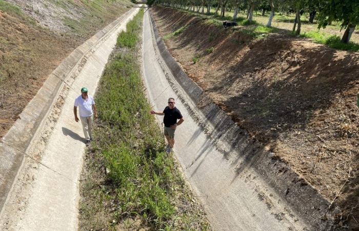 Cia Due Mari: In der Gegend von Taranto sind die Kanäle trocken, die Basilikata spielt nicht mehr mit der Würde der apulischen Bauern