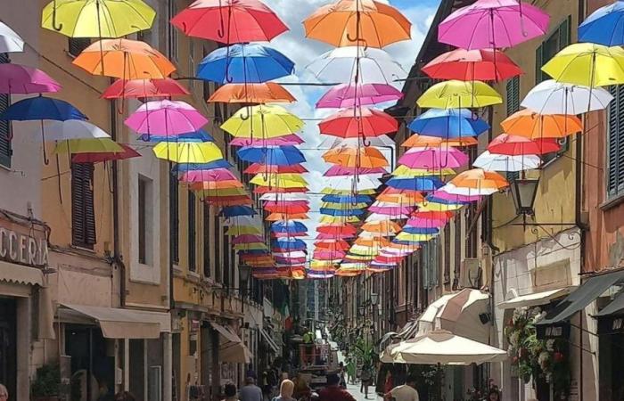 „Hier ist die Kunst von Mary Poppins.“ Der Kritiker Francesco Bonami kritisiert die bunten Regenschirme von Pietrasanta