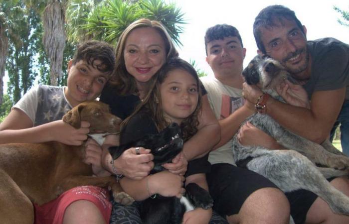 Die Familie wollte einen Hund, adoptiert gleich drei: die Geschichte in Latina