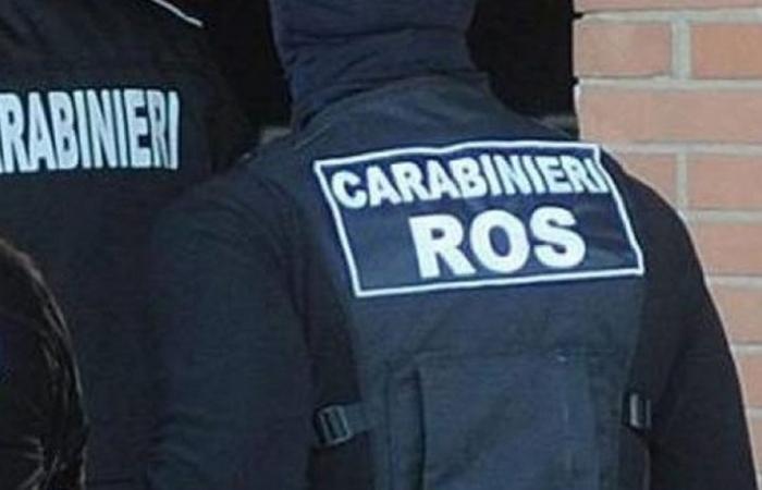 ‘Ndrangheta und Politik in Reggio Calabria, Public Notice nimmt Stellung: „Eine Politik ohne Beziehungen zur Mafia kann und muss existieren“