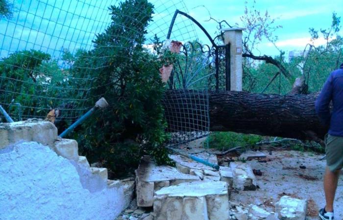 VIESTE – Überschwemmungen und umstürzende Bäume, große Schäden durch den Sturm der letzten Nacht
