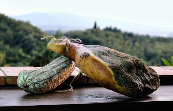 Von der Toskana bis Umbrien kommen italienische Wurstwaren in die USA – Agenfood
