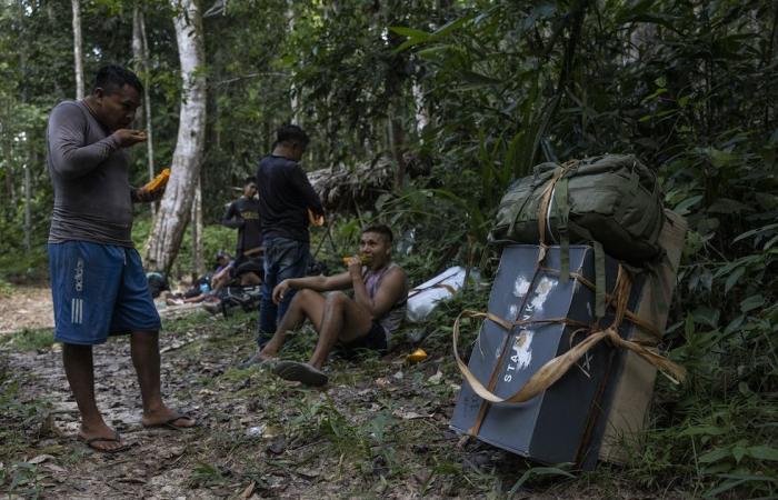 Diese Amazonas-Bevölkerung ist nicht pornosüchtig geworden