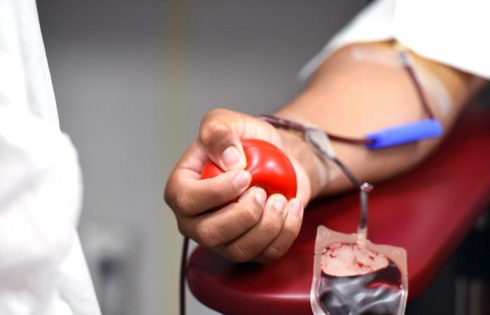 Spendertag, der Präsident von Avis: „Erste Marken in Italien für Blut, aber es herrscht Plasmamangel“ – Nachrichten Ancona-Osimo – CentroPagina