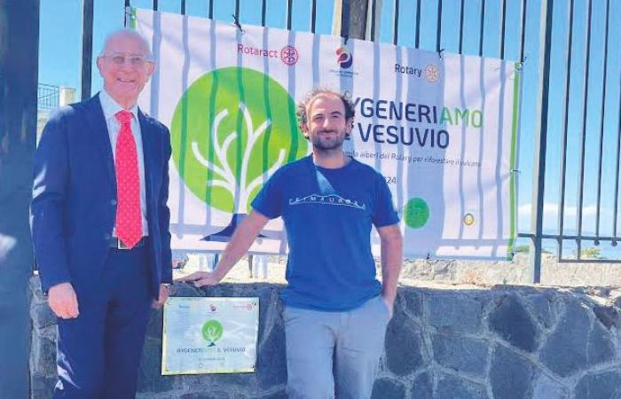 «Lasst uns den Vesuv wieder aufforsten»: Rotary spendet zweitausend Bäume in Torre del Greco