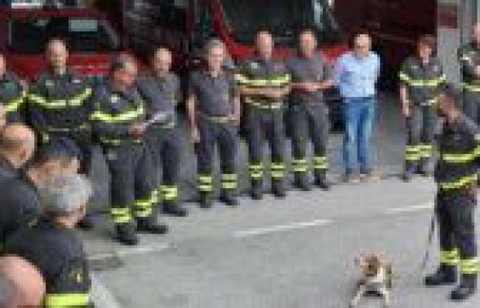 Der pensionierte Feuerwehrhund Prato ehrt Foglia