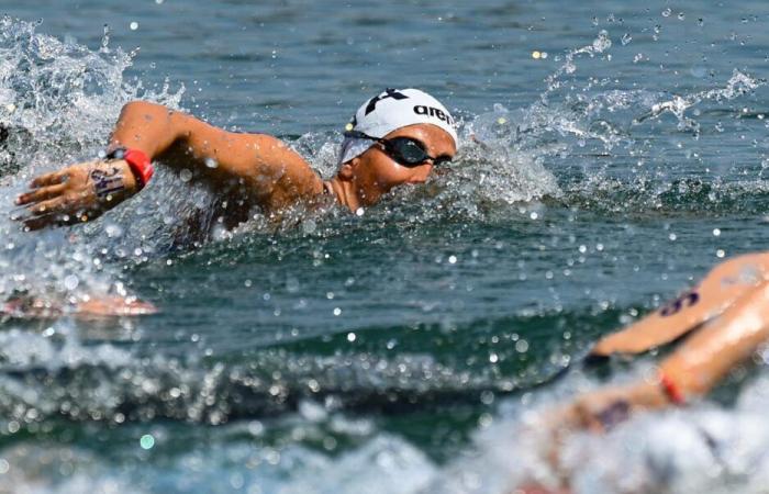 Im Langlaufschwimmen schließt Italien die Europameisterschaft mit Silber in der 4×1500-Meter-Staffel ab