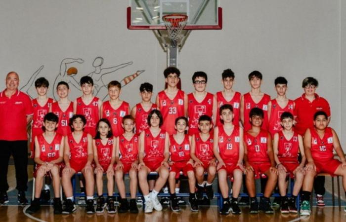 Olbia, Olimpia Basket steigt in das U13-Regionalfinale ein: Hier ist das Finale
