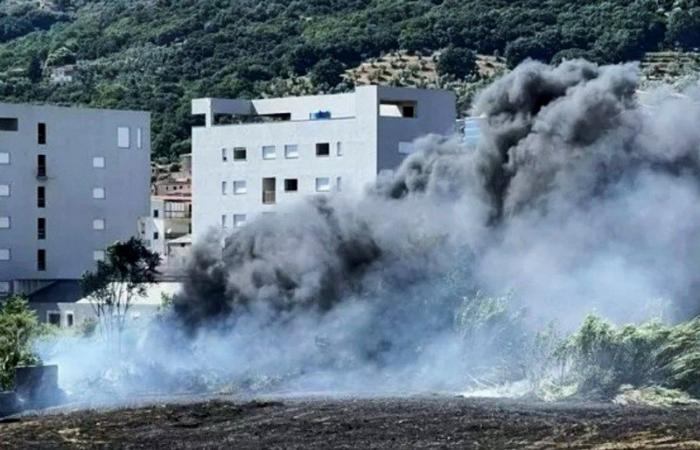 Brand in Lamezia Terme in Scordovillo, Di Matteo: „Die Stadt wurde von einer Handvoll Krimineller als Geisel genommen“