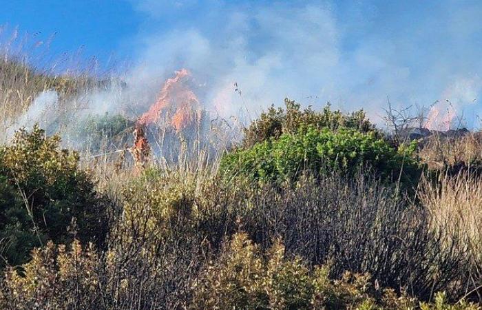 Brände, 8 Ausbrüche in drei Tagen auf den Hügeln des Cilento. Die Feuersaison hat begonnen