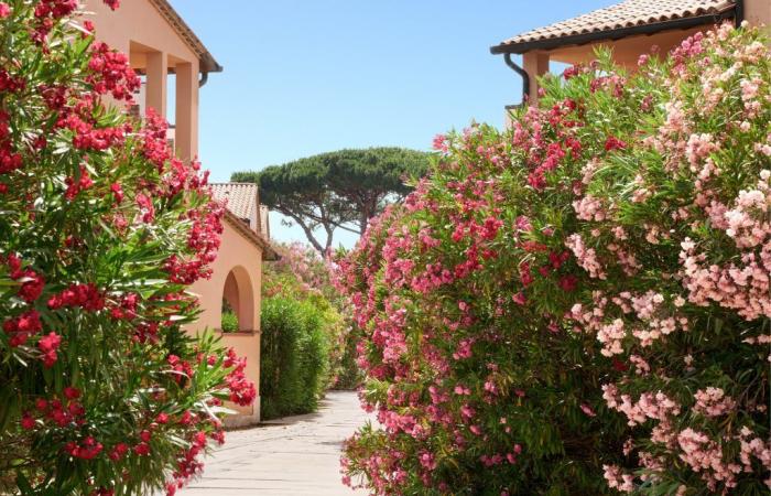 Garden Toscana Resort und die Küche von Chefkoch Simone Salvini