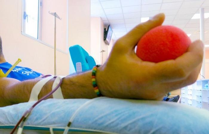 Blutspenden nehmen zu, über 206.000 in der Toskana im Jahr 2023: „Die Herausforderung besteht darin, mehr junge Menschen zu gewinnen“