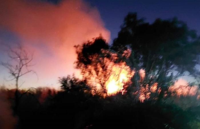 Vegetationsbrände in der Gegend von Campofelice di Roccella, Feuerwehrleute und Freiwillige intervenierten – BlogSicilia
