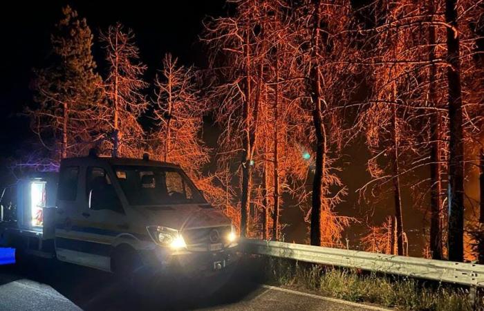 Waldbrände, Latium „gefährdetes Gebiet“: Der Plan der Region ist im Gange. Frosinone besetzt