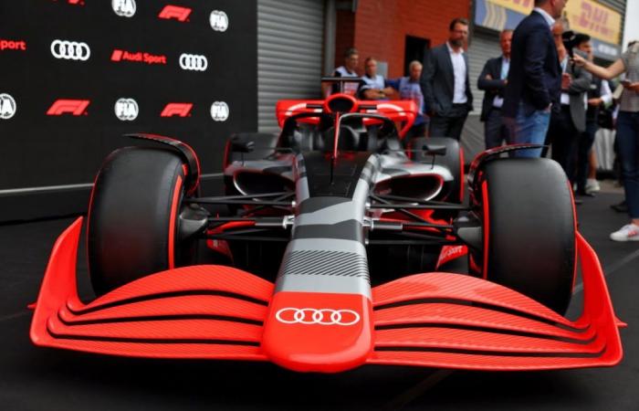 Der ehemalige Formel-1-Champion bezeichnet den Fall Red Bull als Warnung für Audi.