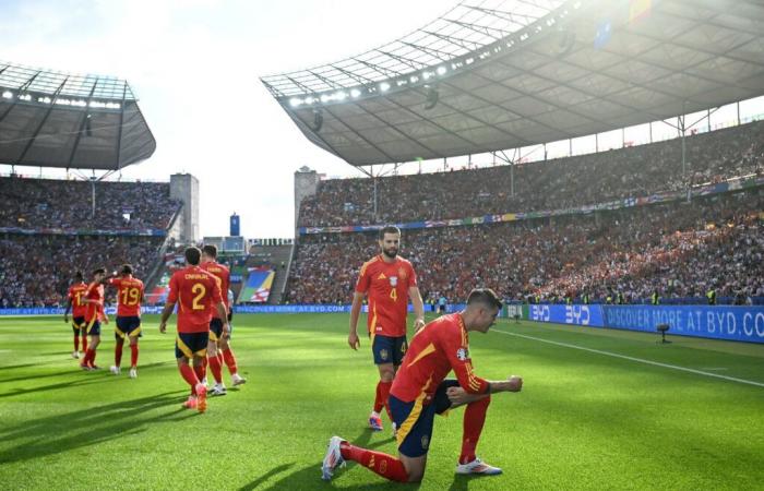 Spanien siegt 3:0 (Foto)