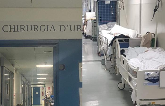 Cagliari, Brotzu-Pulverfass: „Gefahren in der Notaufnahme und auf die Stationen geworfene Transplantationspatienten“