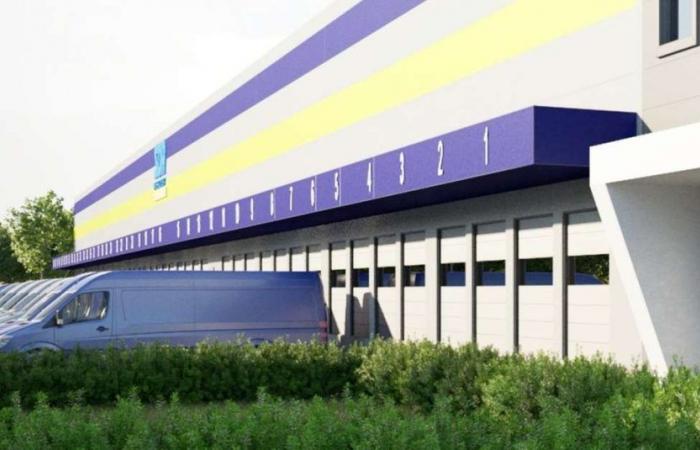 Der Schifffahrtsknotenpunkt ist geboren „Es wird 80 Arbeitsplätze geben“ – Pescara
