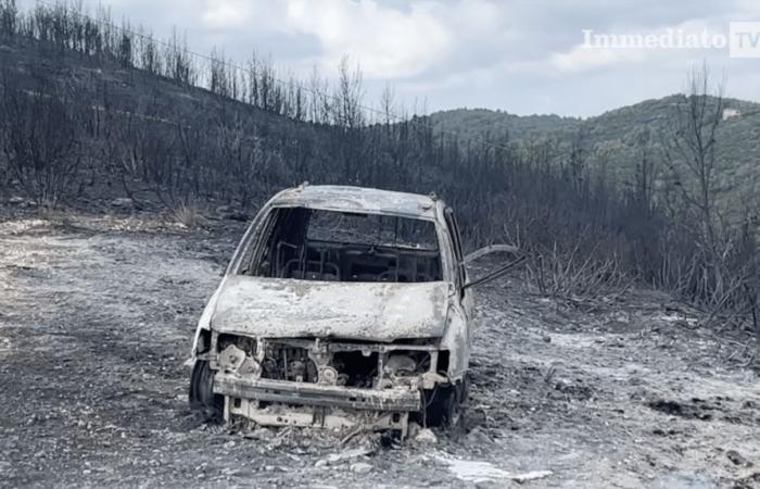 Alptraum der Waldbrände, die Forstpolizei ist bereit für die Kampagne zur Bekämpfung des Phänomens