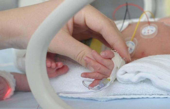 Im Trentino nehmen die Fälle von Keuchhusten bei Kindern (aber nicht nur) zu, wobei bereits drei Neugeborene im Alter von nur wenigen Monaten im Krankenhaus behandelt werden. Zuccali: „Der Impfbooster fehlt oft, Tendenz steigend“