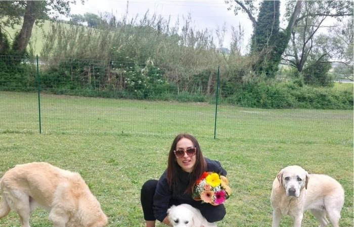 Ancona verlässt seinen festen Job, um seinen Traum zu verwirklichen: „Jetzt bin ich ein glücklicher Hundesitter“ – Nachrichten Ancona-Osimo – CentroPagina